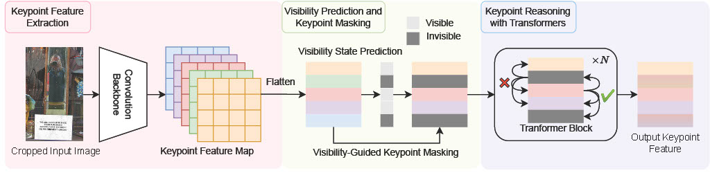 Rethinking Visibility in Human Pose Estimation: Occluded Pose Reasoning via Transformers